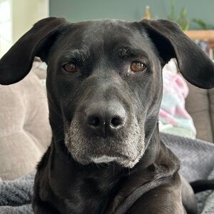 Meet your Posher, Kristin